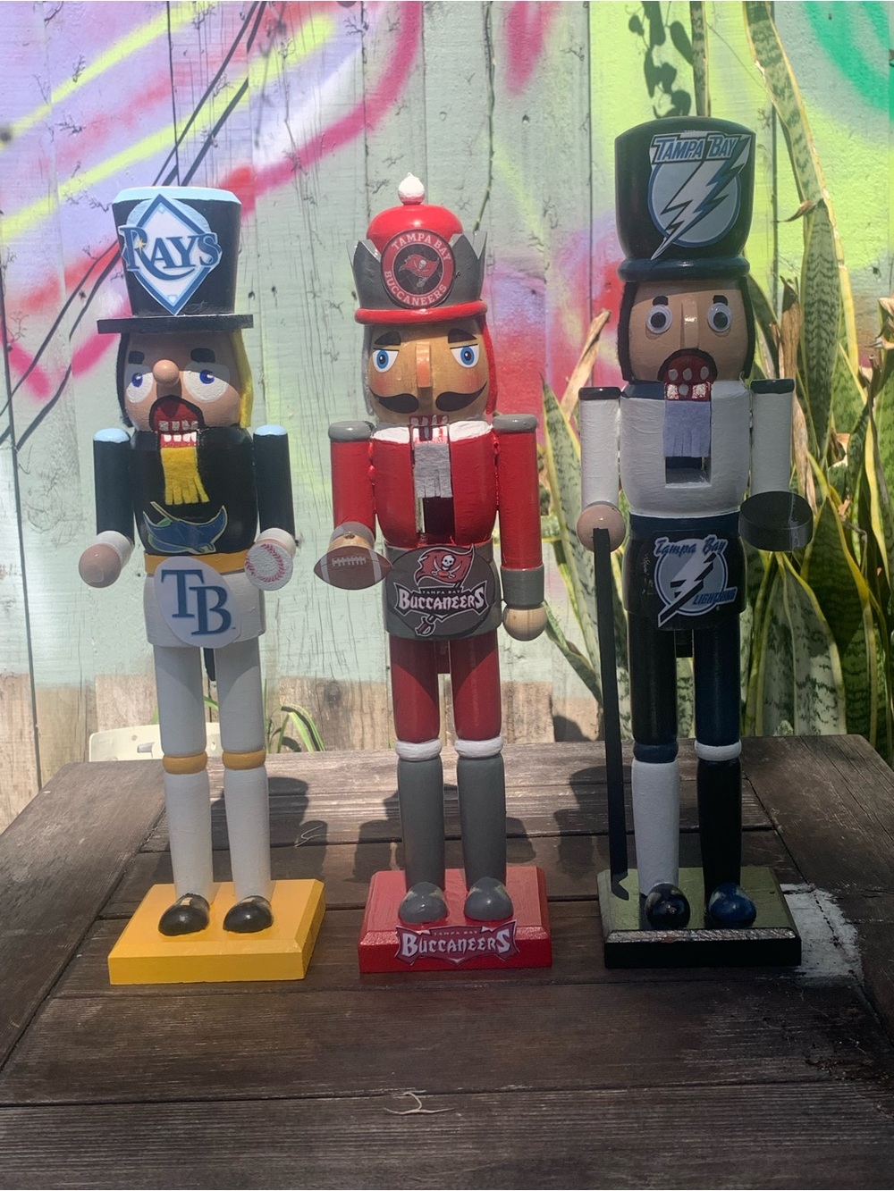 Tampa Bay Sports Teams Trio